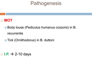 Pathogenesis
 MOT
 Body louse (Pediculus humanus corporis) in B.
recurrentis
 Tick (Ornithodorus) in B. duttoni
 I.P.  2-10 days
 