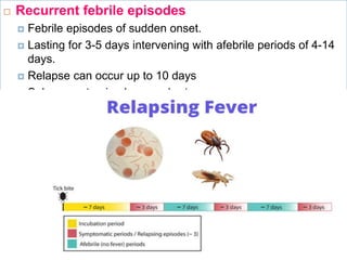  Recurrent febrile episodes
 Febrile episodes of sudden onset.
 Lasting for 3-5 days intervening with afebrile periods of 4-14
days.
 Relapse can occur up to 10 days
 Subsequent episodes are shorter
 