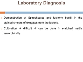 Laboratory Diagnosis
 Demonstration of Spirocheates and fusiform bacilli in the
stained smears of exudates from the lesions.
 Cultivation  difficult  can be done in enriched media
anaerobically.
 