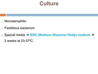 Culture
 Microaerophilic
 Fastidious bacterium
 Special media  BSK (Barbour-Stoenner-Kelly) medium 
2 weeks at 33-370C.
 