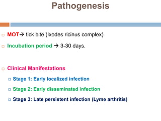 Pathogenesis
 MOT tick bite (Ixodes ricinus complex)
 Incubation period  3-30 days.
 Clinical Manifestations
 Stage 1: Early localized infection
 Stage 2: Early disseminated infection
 Stage 3: Late persistent infection (Lyme arthritis)
 
