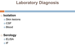 Laboratory Diagnosis
 Isolation
 Skin lesions
 CSF
 Blood
 Serology
 ELISA
 IF
 