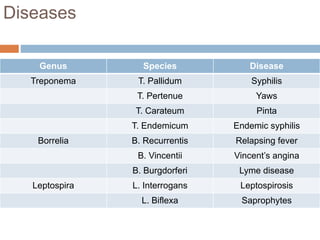 Diseases
Genus Species Disease
Treponema T. Pallidum Syphilis
T. Pertenue Yaws
T. Carateum Pinta
T. Endemicum Endemic syphilis
Borrelia B. Recurrentis Relapsing fever
B. Vincentii Vincent’s angina
B. Burgdorferi Lyme disease
Leptospira L. Interrogans Leptospirosis
L. Biflexa Saprophytes
 