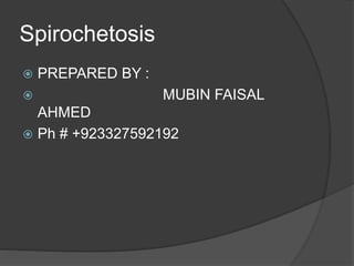 Spirochetosis
 PREPARED BY :
 MUBIN FAISAL
AHMED
 Ph # +923327592192
 