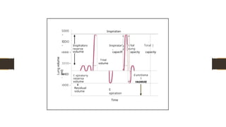 Lung
volume
(ml)
SOOO
-
S
O
OO
-
‹ooo -
Insplralorv
reserve
volume
3000-
W
H
OO
-
E xpirator•y
reserva
volume
¥
i0O0 -
Residual
volume
Inspiratian
Tldal
volume
Inspiratar'
,
capacifl
'ital Total |
ung
:apacity capacity
E
xpiration
Time
Functiona
l
rs siclual
 
