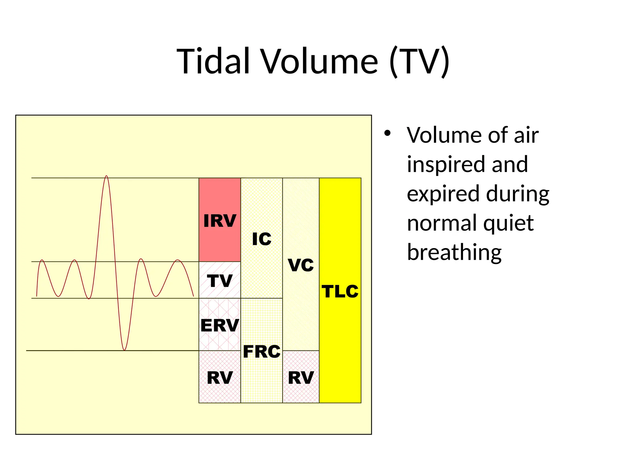 Tidal Volume (TV)
• Volume of air
inspired and
expired during
normal quiet
breathing
IRV
TV
ERV
RV
IC
FRC
VC
TLC
RV
 
