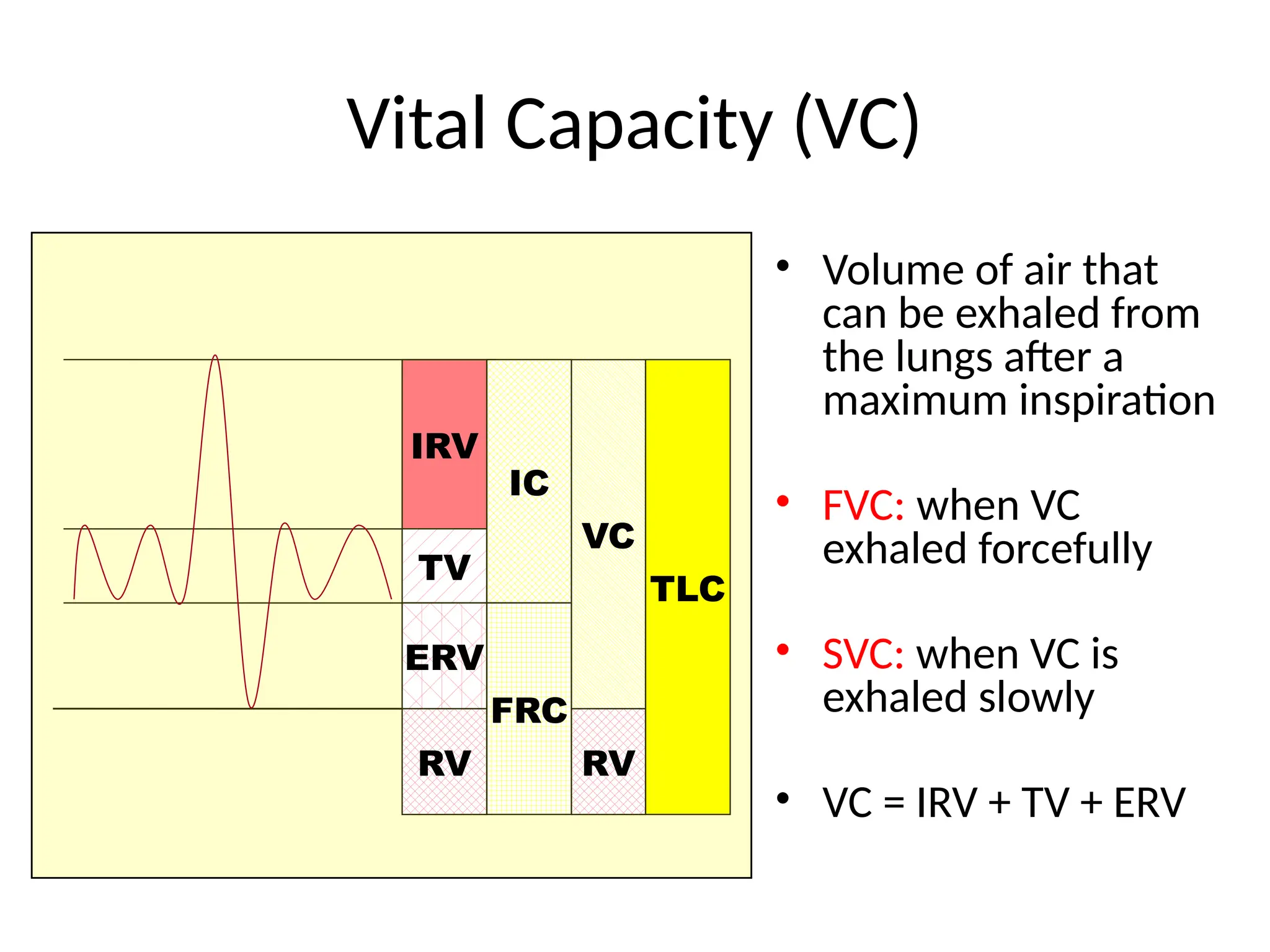 Vital Capacity (VC)
• Volume of air that
can be exhaled from
the lungs after a
maximum inspiration
• FVC: when VC
exhaled forcefully
• SVC: when VC is
exhaled slowly
• VC = IRV + TV + ERV
IRV
TV
ERV
RV
IC
FRC
VC
TLC
RV
 
