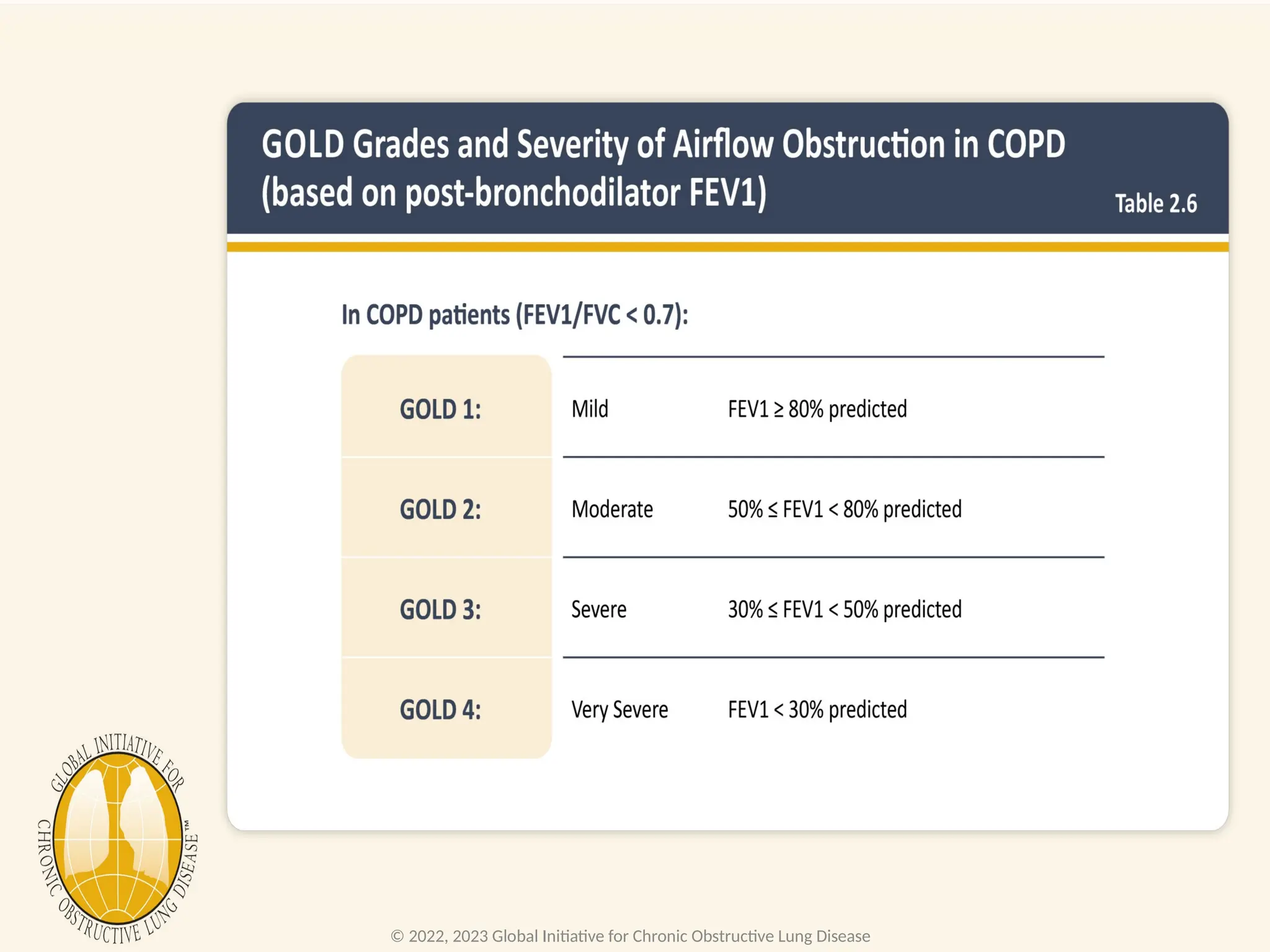 © 2022, 2023 Global Initiative for Chronic Obstructive Lung Disease
 