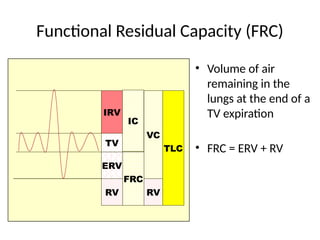 Functional Residual Capacity (FRC)
• Volume of air
remaining in the
lungs at the end of a
TV expiration
• FRC = ERV + RV
IRV
TV
ERV
RV
IC
FRC
VC
TLC
RV
 