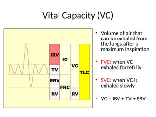 Vital Capacity (VC)
• Volume of air that
can be exhaled from
the lungs after a
maximum inspiration
• FVC: when VC
exhaled forcefully
• SVC: when VC is
exhaled slowly
• VC = IRV + TV + ERV
IRV
TV
ERV
RV
IC
FRC
VC
TLC
RV
 