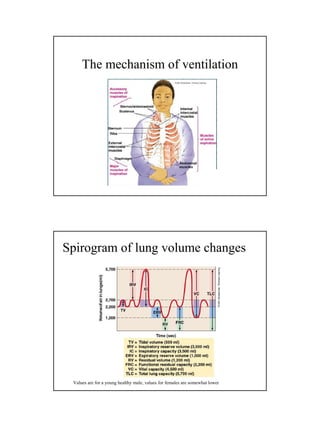 Spirometry2300