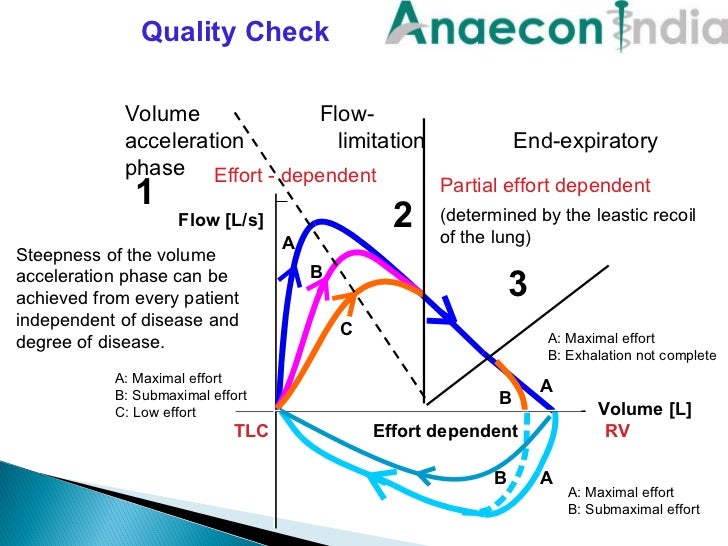Anaecon India Spirometery