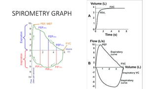 Spirometry ppt.pptx lung function test ppt | PPTX