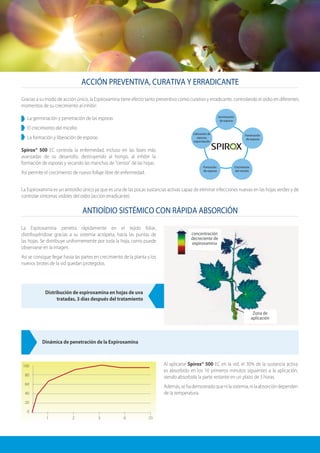 ACCIÓN PREVENTIVA, CURATIVA Y ERRADICANTE
ANTIOÍDIO SISTÉMICO CON RÁPIDA ABSORCIÓN
Gracias a su modo de acción único, la Espiroxamina tiene efecto tanto preventivo como curativo y erradicante, controlando el oídio en diferentes
momentos de su crecimiento al inhibir:
La germinación y penetración de las esporas
El crecimiento del micelio
La formación y liberación de esporas
Spirox® 500 EC controla la enfermedad, incluso en las fases más
avanzadas de su desarrollo, destruyendo al hongo, al inhibir la
formación de esporas y secando las manchas de “ceniza” de las hojas.
Así permite el crecimiento de nuevo follaje libre de enfermedad.
La Espiroxamina es un antioídio único ya que es una de las pocas sustancias activas capaz de eliminar infecciones nuevas en las hojas verdes y de
controlar síntomas visibles del oídio (acción erradicante).
Germinación
de esporas
Formación
de esporas
Crecimiento
del micelio
Penetración
de esporas
Liberación de
esporas,
esporulación
La Espiroxamina penetra rápidamente en el tejido foliar,
distribuyéndose gracias a su sistemia acrópeta, hacia las puntas de
las hojas. Se distribuye uniformemente por toda la hoja, como puede
observarse en la imagen.
Así se consigue llegar hasta las partes en crecimiento de la planta y los
nuevos brotes de la vid quedan protegidos.
Zona de
aplicación
concentración
decreciente de
expiroxamina
Distribución de espiroxamina en hojas de uva
tratadas, 3 días después del tratamiento
Dinámica de penetración de la Expiroxamina
Al aplicarse Spirox® 500 EC en la vid, el 30% de la sustancia activa
es absorbido en los 10 primeros minutos siguientes a la aplicación,
siendo absorbida la parte restante en un plazo de 3 horas.
Además,sehademostradoquenilasistemia,nilaabsorcióndependen
de la temperatura.
100
80
60
40
20
0
1 2 3 6 20
 