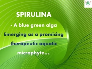 SPIRULINA
- A blue green alga
Emerging as a promising
therapeutic aquatic
microphyte….
 