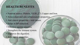 HEALTH BENEFITS
• Nutrient source: Protein, Vit.B1,2,3, Copper and Iron.
• Antioxidant and anti inflammatory properties.
• Anti cancer properties – oral cancer.
• Helps in BP reduction.
• Effective against anaemia.
• Strengthen the immune system.
• Improves the digestion.
• Anti- aging properties.
 