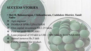 SUCCESS STORIES
• Shri R. Balamurugan, Chidambaram, Cuddalore District, Tamil
Nadu-
 Agri engineer
 PAMBAN SPIRULINA FARM
 Own capital investment RS.1.25 lakhs
 First net profit RS.50,000/-
 Loan proposal of 10 lakh to UBI – 36% subsidy from NABARD
 Annual turnover Rs.5 lakh
 FSSAI approval for product.
 