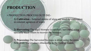 PRODUCTION
• PRODUCTION PROCESS OUTLINE-
1) Cultivation - Selected strains of algae are used for cultivation
in constant agitation of water.
2) Harvesting-The algal biomass is carefully harvested using
specially made filters to recover the biomass.
3) Processing-The harvested biomass is dried using the cross
flow drier. The produce obtained is in the form of flakes.
 