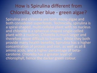 How is Spirulina different from
Chlorella, other blue - green algae?
Spirulina and chlorella are both micro-algae and
both considered superfoods. Technically, spirulina is
a spiral-shaped, multi-cellular plant with no nucleus
and chlorella is a spherical-shaped single-celled
plant with a nucleus. Chlorella is much larger and
therefore more difficult to harvest. While they both
provide many health benefits, Spirulina has a higher
concentration of protein and iron, as well as all 8
amino acids, and a higher percentage of beta-
carotene. Chlorella has a greater level of
chlorophyll, hence the darker green colour.
 