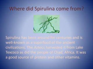 Where did Spirulina come from?
Spirulina has been around for centuries and is
well-known as a superfood of the ancient
civilizations. The Aztecs harvested it from Lake
Texcoco as did the people of Chad, Africa. It was
a good source of protein and other vitamins.
 