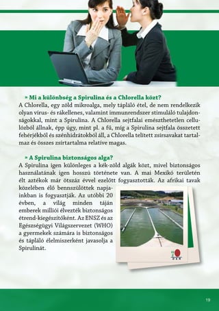 19
» Mi a különbség a Spirulina és a Chlorella közt?
A Chlorella, egy zöld mikroalga, mely tápláló étel, de nem rendelkezik
olyan vírus- és rákellenes, valamint immunrendszer stimuláló tulajdon-
ságokkal, mint a Spirulina. A Chlorella sejtfalai emészthetetlen cellu-
lózból állnak, épp úgy, mint pl. a fű, míg a Spirulina sejtfala összetett
fehérjékből és szénhidrátokból áll, a Chlorella telített zsírsavakat tartal-
maz és összes zsírtartalma relatíve magas.
» A Spirulina biztonságos alga?
A Spirulina igen különleges a kék-zöld algák közt, mivel biztonságos
használatának igen hosszú története van. A mai Mexikó területén
élt aztékok már ötszáz évvel ezelőtt fogyasztották. Az afrikai tavak
közelében élő bennszülöttek napja-
inkban is fogyasztják. Az utóbbi 20
évben, a világ minden táján
emberek milliói élvezték biztonságos
étrend-kiegészítőként. Az ENSZ és az
Egészségügyi Világszervezet (WHO)
a gyermekek számára is biztonságos
és tápláló élelmiszerként javasolja a
Spirulinát.
 