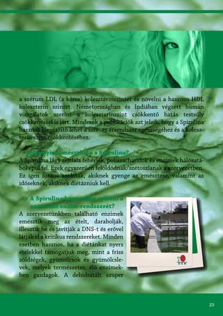 23
a szérum LDL (a káros) koleszterinszintet és növelni a hasznos HDL
koleszterin szintet. Németországban és Indiában végzett humán
vizsgálatok szerint a koleszterinszint csökkentő hatás testsúly
csökkenéssel is járt. Mindezek a publikációk azt jelzik, hogy a Spirulina
hasznos kiegészítő lehet a szív- és érrendszer egészségéhez és a kolesz-
terin szint csökkentéséhez.
» Mennyire emészthető a Spirulina?
A Spirulina lágy sejtfala fehérjék, poliszacharidok és enzimek hálózatá-
ból épül fel. Ezek egyszerűen feloldódnak/szétoszlanak a szervezetben.
Ez igen fontos azoknak, akiknek gyenge az emésztése, valamint az
időseknek, akiknek diétázniuk kell.
» A Spirulina hogy tudja építeni a
szervezet enzim-rendszerét?
A szervezetünkben található enzimek
emésztik meg az ételt, darabolják,
illesztik be és javítják a DNS-t és erővel
látják el a kritikus rendszereket. Minden
esetben hasznos, ha a diétánkat nyers
ételekkel támogatjuk meg, mint a friss
zöldségek, gyümölcsök és gyümölcsle-
vek, melyek természetes, élő enzimek-
ben gazdagok. A dehidratált szuper
 