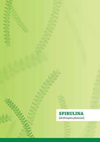 SPIRULINA
(Arthrospira platensis)
 