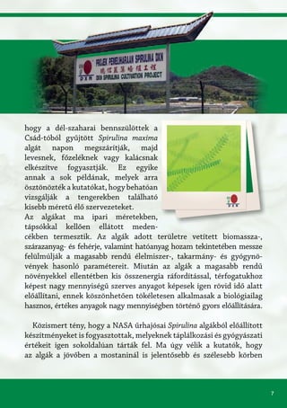 7
hogy a dél-szaharai bennszülöttek a
Csád-tóból gyűjtött Spirulina maxima
algát napon megszárítják, majd
levesnek, főzeléknek vagy kalácsnak
elkészítve fogyasztják. Ez egyike
annak a sok példának, melyek arra
ösztönözték a kutatókat, hogy behatóan
vizsgálják a tengerekben található
kisebb méretű élő szervezeteket.
Az algákat ma ipari méretekben,
tápsókkal kellően ellátott meden-
cékben termesztik. Az algák adott területre vetített biomassza-,
szárazanyag- és fehérje, valamint hatóanyag hozam tekintetében messze
felülmúlják a magasabb rendű élelmiszer-, takarmány- és gyógynö-
vények hasonló paramétereit. Miután az algák a magasabb rendű
növényekkel ellentétben kis összenergia ráfordítással, térfogatukhoz
képest nagy mennyiségű szerves anyagot képesek igen rövid idő alatt
előállítani, ennek köszönhetően tökéletesen alkalmasak a biológiailag
hasznos, értékes anyagok nagy mennyiségben történő gyors előállítására.
Közismert tény, hogy a NASA űrhajósai Spirulina algákból előállított
készítményeket is fogyasztottak, melyeknek táplálkozási és gyógyászati
értékeit igen sokoldalúan tárták fel. Ma úgy vélik a kutatók, hogy
az algák a jövőben a mostaninál is jelentősebb és szélesebb körben
 