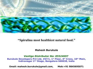 “Spirulina most healthiest natural food.”


                        Mahesh Burukule

              Vestige Distributor No: 85524697
Burukule Developers Pvt Ltd, #67/1, 1st Floor, 4th Cross, 10th Main,
         Indiranagar 2nd Stage, Bangalore-560038, India

 Email: mahesh.burukule@gmail.com,         Mob:+91 9845695071
 