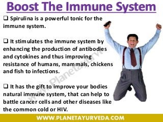 Boost The Immune System
 Spirulina is a powerful tonic for the
immune system.
 It stimulates the immune system by
enhancing the production of antibodies
and cytokines and thus improving
resistance of humans, mammals, chickens
and fish to infections.
 It has the gift to improve your bodies
natural immune system, that can help to
battle cancer cells and other diseases like
the common cold or HIV.
 