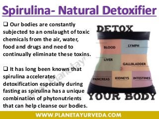 Spirulina- Natural Detoxifier
 Our bodies are constantly
subjected to an onslaught of toxic
chemicals from the air, water,
food and drugs and need to
continually eliminate these toxins.
 It has long been known that
spirulina accelerates
detoxification especially during
fasting as spirulina has a unique
combination of phytonutrients
that can help cleanse our bodies.
 