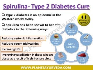 Spirulina- Type 2 Diabetes Cure
 Type 2 diabetes is an epidemic in the
Western world today.
 Spirulina has been shown to benefit
diabetics in the following ways:
Reducing systemic inflammation.
Reducing serum triglycerides
Increasing HDL
Improving vasodilation in those who are
obese as a result of high fructose diets
 