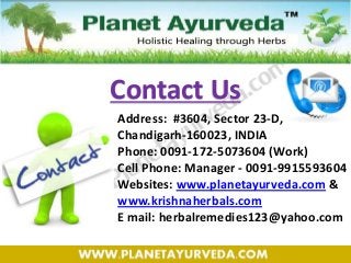 Address: #3604, Sector 23-D,
Chandigarh-160023, INDIA
Phone: 0091-172-5073604 (Work)
Cell Phone: Manager - 0091-9915593604
Websites: www.planetayurveda.com &
www.krishnaherbals.com
E mail: herbalremedies123@yahoo.com
Contact Us
 
