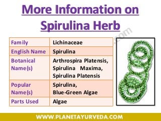 Family Lichinaceae
English Name Spirulina
Botanical
Name(s)
Arthrospira Platensis,
Spirulina Maxima,
Spirulina Platensis
Popular
Name(s)
Spirulina,
Blue-Green Algae
Parts Used Algae
More Information on
Spirulina Herb
 
