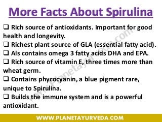 More Facts About Spirulina
 Rich source of antioxidants. Important for good
health and longevity.
 Richest plant source of GLA (essential fatty acid).
 Als contains omega 3 fatty acids DHA and EPA.
 Rich source of vitamin E, three times more than
wheat germ.
 Contains phycocyanin, a blue pigment rare,
unique to Spirulina.
 Builds the immune system and is a powerful
antioxidant.
 