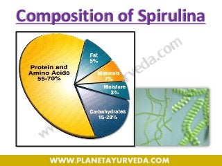 Composition of Spirulina
 