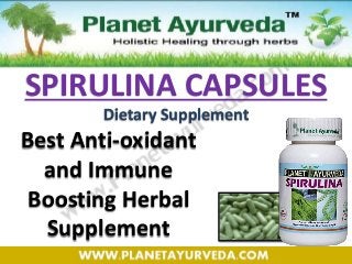 SPIRULINA CAPSULES
Best Anti-oxidant
and Immune
Boosting Herbal
Supplement
Dietary Supplement
 