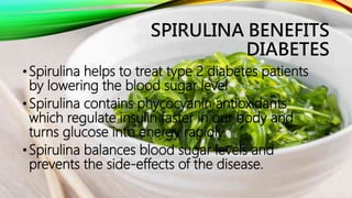 Spirulina Benefits Diabetes By Soniya Panwar