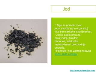 Jod


• Alge su prirodni izvor
joda, sadrţe jod u organskoj
vezi što olakšava iskorišćenost.
• Jod je odgovoran za
proizvodnju tiroidnih
hormona, adekvatni
metabolizam i proizvodnju
energije.
• Pomaţe i kod zaštite zdravlja
koţe, kose i noktiju.




             http://www.zivisastilom.com
 
