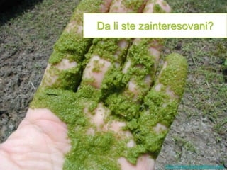 Da li ste zainteresovani?




              http://www.zivisastilom.com
 