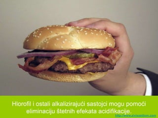 Hlorofil i ostali alkalizirajući sastojci mogu pomoći
     eliminaciju štetnih efekata acidifikacije.
                                        http://www.zivisastilom.com
 