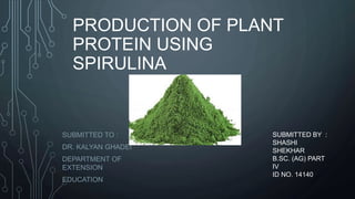 PRODUCTION OF PLANT
PROTEIN USING
SPIRULINA
SUBMITTED TO :
DR. KALYAN GHADEI
DEPARTMENT OF
EXTENSION
EDUCATION
SUBMITTED BY :
SHASHI
SHEKHAR
B.SC. (AG) PART
IV
ID NO. 14140
 