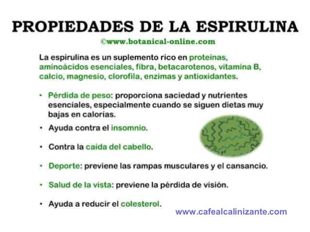 Alga Spirulina Alga Spirulina