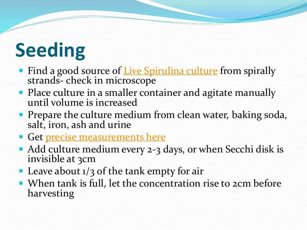 How to Grow Spirulina At Home A step by Step Tutorial