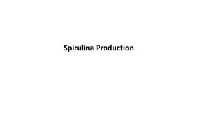 Spirulina Production
 