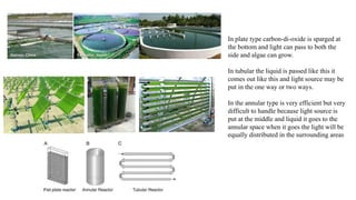 In plate type carbon-di-oxide is sparged at
the bottom and light can pass to both the
side and algae can grow.
In tubular the liquid is passed like this it
comes out like this and light source may be
put in the one way or two ways.
In the annular type is very efficient but very
difficult to handle because light source is
put at the middle and liquid it goes to the
annular space when it goes the light will be
equally distributed in the surrounding areas
 