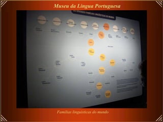Familias linguisticas do mundo
Museu da Lingua Portuguesa
 
