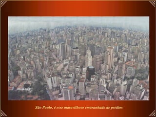São Paulo, é esse maravilhoso emaranhado de prédios
 