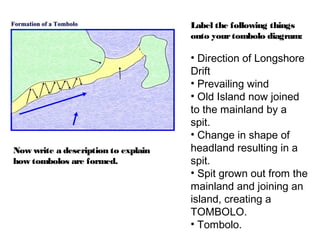 Label the following things
onto yourtombolo diagram:
• Direction of Longshore
Drift
• Prevailing wind
• Old Island now joined
to the mainland by a
spit.
• Change in shape of
headland resulting in a
spit.
• Spit grown out from the
mainland and joining an
island, creating a
TOMBOLO.
• Tombolo.
Now write a description to explain
how tombolos are formed.
 