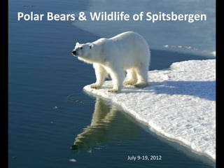 Polar Bears & Wildlife of Spitsbergen




                     July 9-19, 2012
 